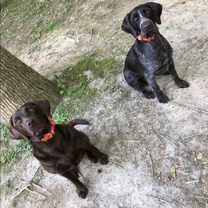 Meet your Posher, Justin